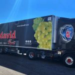 eurofrigo koper redavid